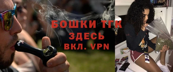 спиды Богородицк