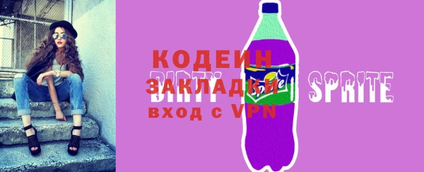 спиды Богородицк