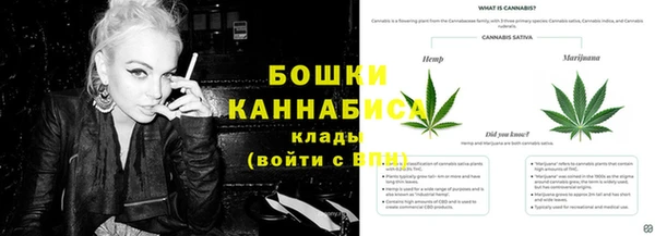стафф Верхний Тагил