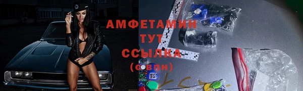 спиды Богородицк