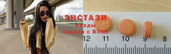 прущие грибы Верея