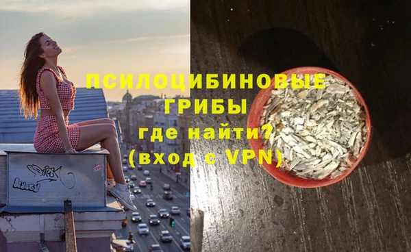 ешки Бородино