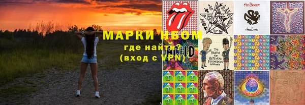 прущие грибы Верея