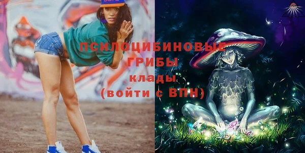 прущие грибы Верея