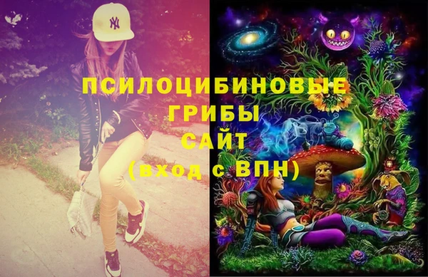 спиды Богородицк