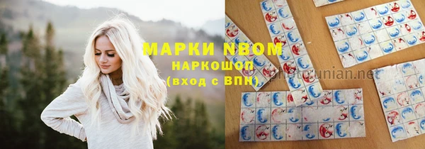 прущие грибы Верея