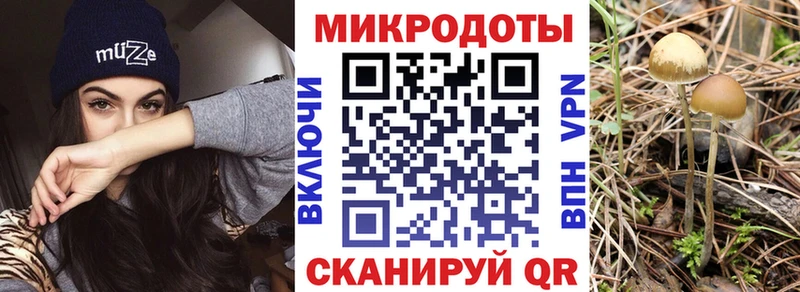 Галлюциногенные грибы GOLDEN TEACHER  Верхний Тагил 
